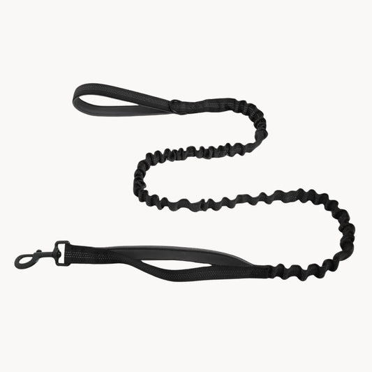 CZ Laisse élastique pour chien
