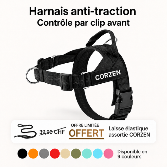 CZ Harnais Anti-traction