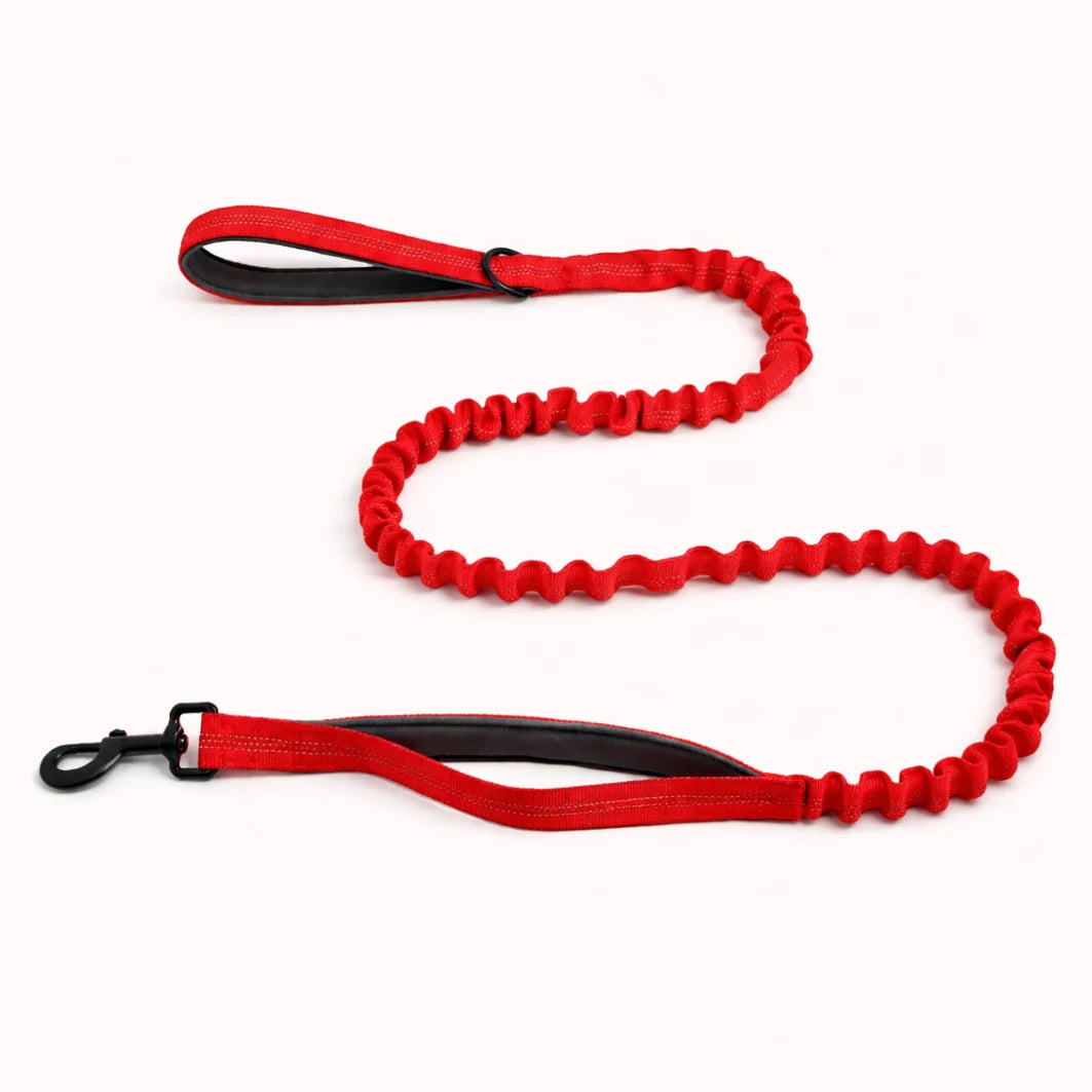 CZ Laisse élastique pour chien