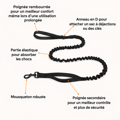 CZ Harnais Anti-traction