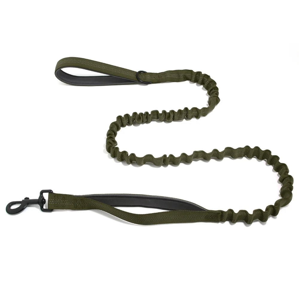 CZ Laisse élastique pour chien