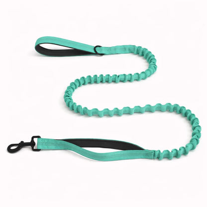 CZ Laisse élastique pour chien