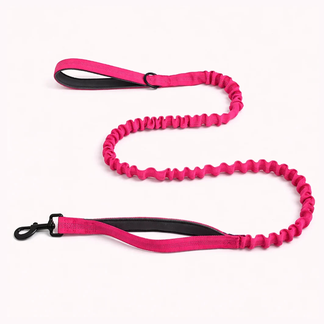 CZ Laisse élastique pour chien