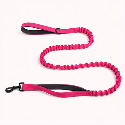 CZ Laisse élastique pour chien