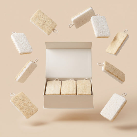 Lot de 12 éponges CZ Luffa autour de leur boîte